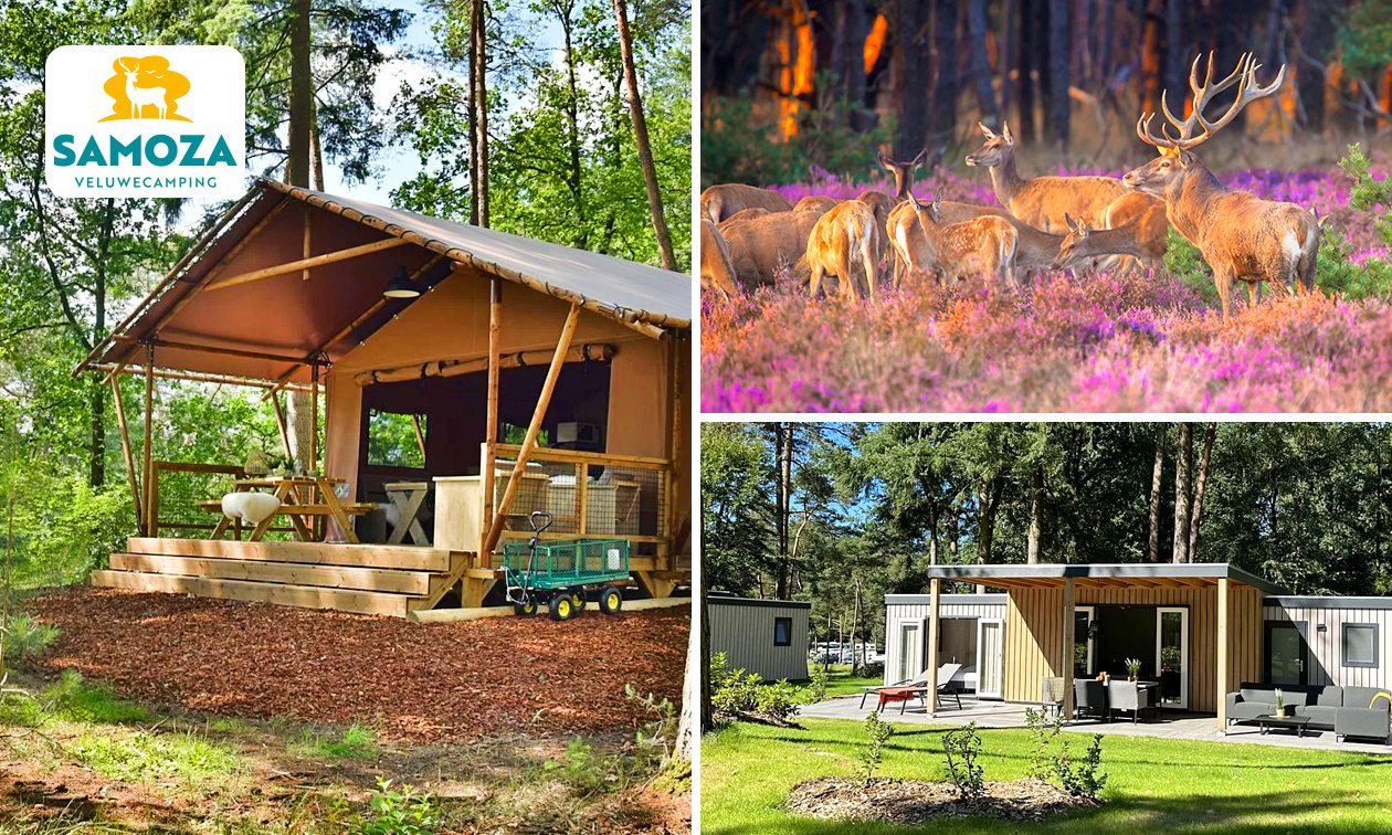 Wochen(mitte) oder Wochenende in einer Lounge oder Lodge (2-6 Personen)