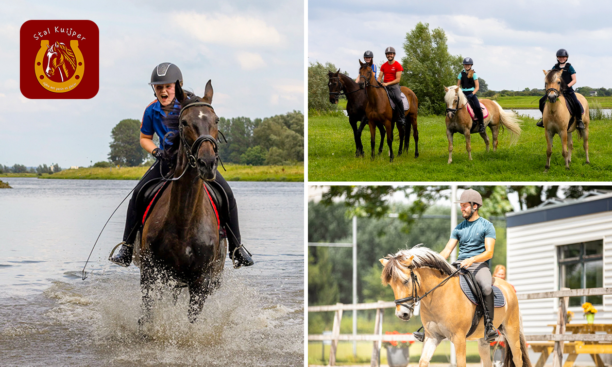 Avontuurlijke bosrit op een paard (3 à 4 uur)