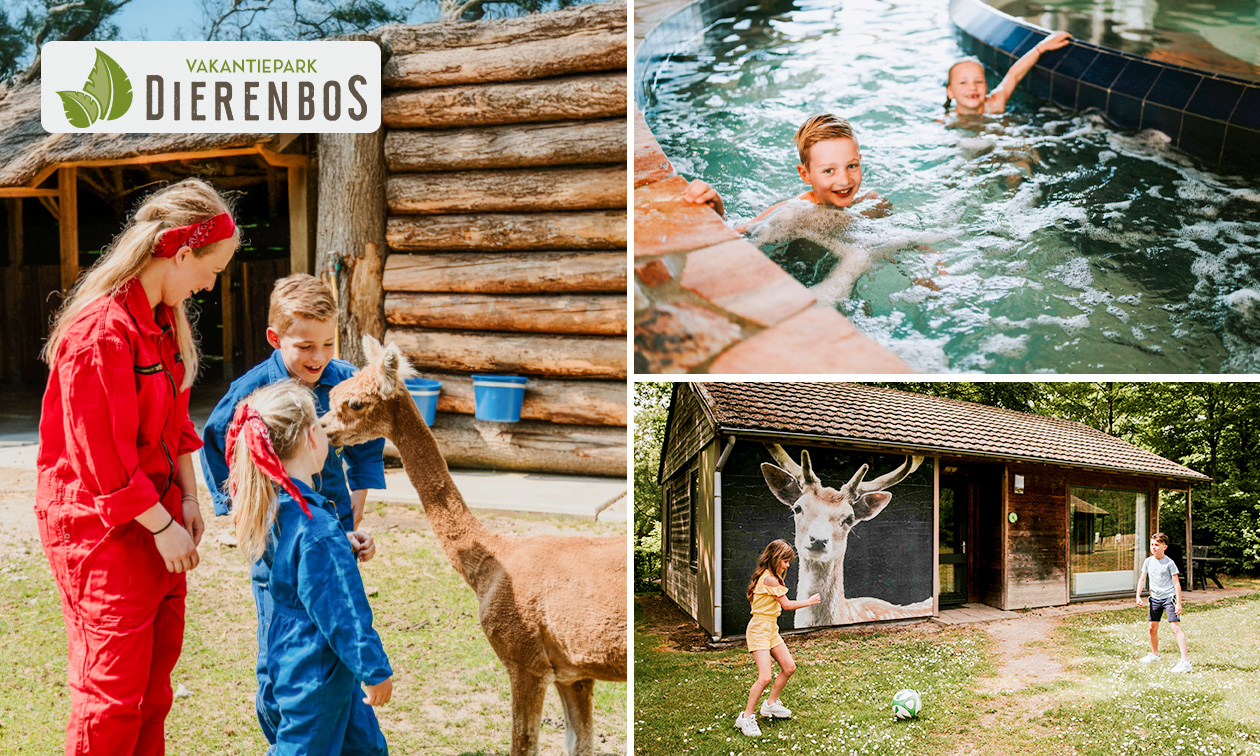 Wochenmitte oder Wochenende (3 bis 6 Pers.) im Ferienpark Dierenbos + Eintritt Zoo