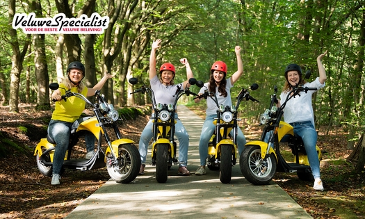 Huur E-chopper (2 uur en 45 minuten)