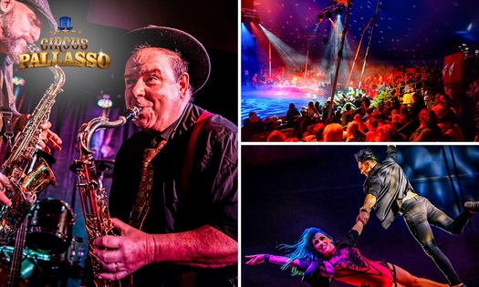 Circusconcert Pallasso (2 uur)