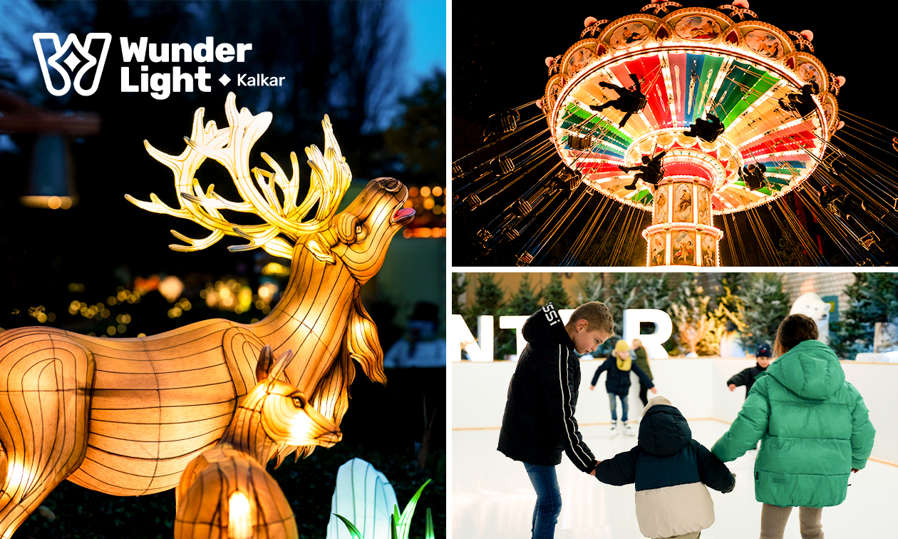 Eintritt Wunderlight im Wunderland Kalkar