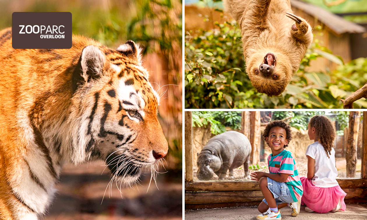 Eintritt ZooParc Overloon